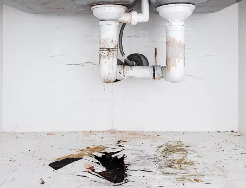 Plomberie de salle de bains : le guide PCERS pour éviter les pannes courantes